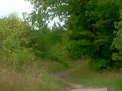 Amazing pornstar Nikki Sun in crazy blonde, threesome porn movie