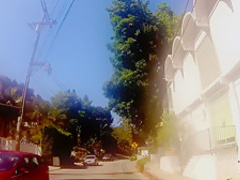 Hottest pornstar in Fabulous Black and Ebony, Reality xxx movie