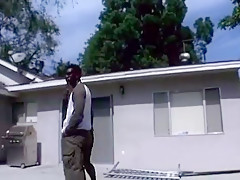 Melanie Jagger white wife:blk