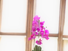 Best pornstar Aidra Fox in incredible blowjob, facial adult movie