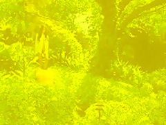 Best pornstars in Horny Reality, Latina adult clip