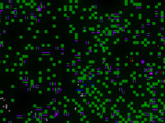 Best pornstar Joclyn Stone in crazy hardcore, facial sex video