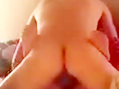 Sex mit der ex (musik)