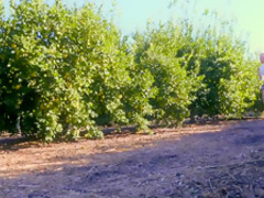 Hottest pornstar Alex Little in amazing big cocks, big tits porn clip