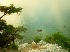 Safo (2008) Avlon Barrie, Lyudmila Shiryaeva