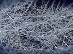 Incredible pornstars Cassidy Klein and Sara Jay in crazy blonde, cumshots porn scene