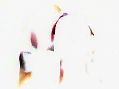 Exotic homemade DP, Stockings sex scene