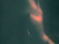 Roger Dodger Flora Diaz