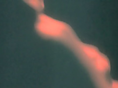 Roger Dodger Flora Diaz