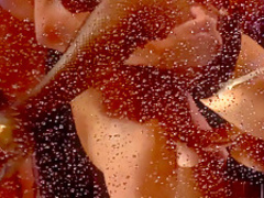 Horny pornstars Sienna West and Bridgette B in incredible big tits, brazilian xxx video