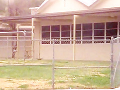 Boiling desires (2k) - 1986