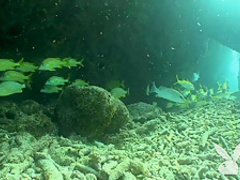 Exotic pornstar in Horny Threesomes, MILF xxx video