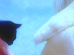 Crazy pornstar Puma Swede in best mature, solo xxx movie