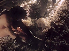 Como agua para chocolate (1992) Lumi Cavazos