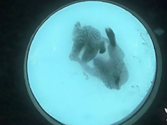 Hottest pornstar in Fabulous Brunette, MILF adult clip