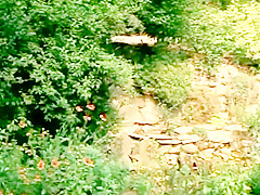 Les perversions dun couple libere (1977)