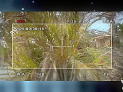 Hottest pornstars Michelle Honeywell, Jarrod Steed in Exotic Reality, Voyeur xxx video