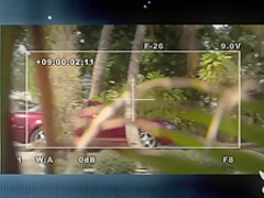 Hottest pornstars Michelle Honeywell, Jarrod Steed in Exotic Reality, Voyeur xxx video