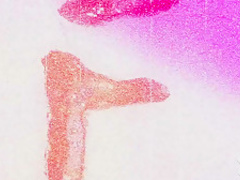 Fabulous pornstar in Horny Big Tits, Reality adult scene