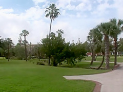 Best pornstar in fabulous striptease, solo porn movie