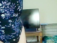 Amateur blowjob of a beautiful brunette