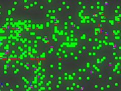 Horny pornstar in amazing hardcore, dildos/toys porn movie