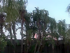 Incredible pornstar in crazy blonde, piercing porn scene