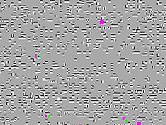 Crazy homemade Blowjob porn scene