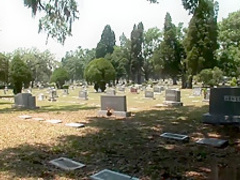 Fabulous pornstar in horny amateur, solo porn scene