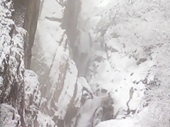 Best pornstar Julia Pink in hottest blonde, european xxx movie