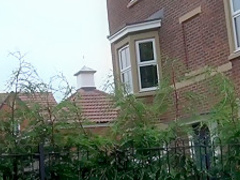 Incredible pornstar Joy B in crazy amateur, blowjob adult video