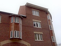 Incredible pornstar Joy B in crazy amateur, blowjob adult video