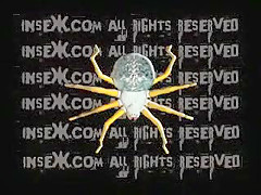 Incredible amateur xxx movie