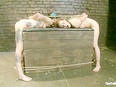 Day 4 - red and blue - TheTrainingofO