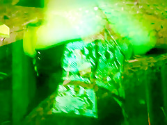 Bbw delys black tantra