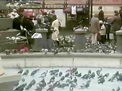 Hottest Retro, British sex video