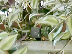 Incredible pornstar in best anal, teens porn video