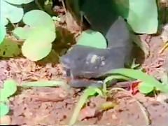 Amazing Outdoor, Fetish sex scene