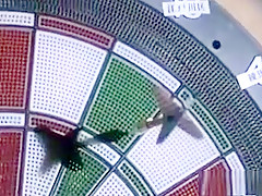 Incredible pornstar in hottest anal, straight sex movie