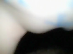 Exotic Blowjob, POV adult video