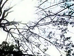 Amazing amateur Cumshots, Public sex scene