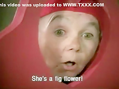 Horny Anal, Vintage adult video