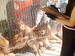 Exotic Japanese chick in Horny Fingering, Dildos/Toys JAV video