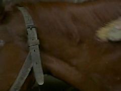 Serena Grandi,Alexandra Vandernoot in L' Iniziazione (1987)