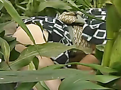 Japanese Nostalgic Porn #6