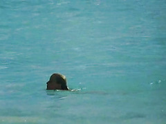 Bo Derek in Tarzan, The Ape Man (1981)