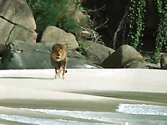 Bo Derek in Tarzan, The Ape Man (1981)