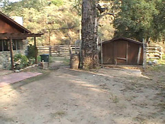 Trailer Trash Mamas two