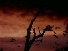 Homosexual erectus (1995) Part 1