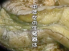 Mom not  daughter and not son